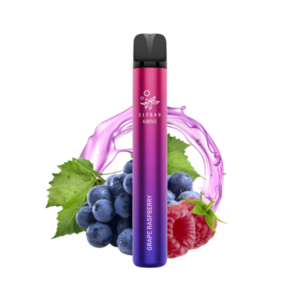 ELFBAR GRAPE RASPBERRY 600 V2